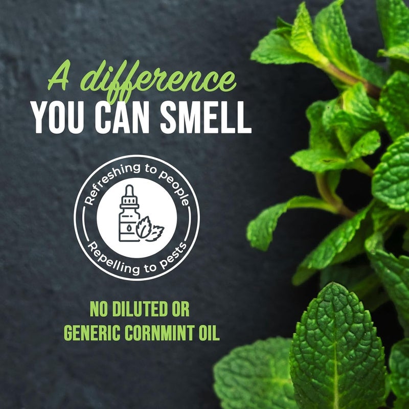 Mighty Mint رذاذ طارد الحشرات بزيت النعناع - تحكم في الحشرات داخل المنزل وخارجه للعنکبوت، النمل، الصراصير، وأكثر - تركيبة نباتية، قوية جداً - 16 أونصة - Image 3